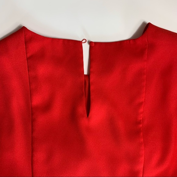 The Limited Lined Flutter Sleeve Shift Dress - Picture 10 of 11